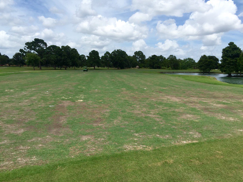 CarterHindes's tweet photo. @AKpurdom throwing down some @FloratineFoliar Per 4 Max on new sprigs. #runnerseverywhere #sterlinggolf https://t.co/lLYTkQJseN