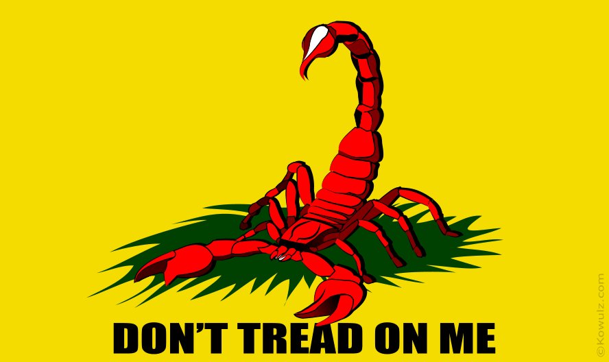kowulz's tweet photo. #Gadsden #Kowulz #Libertarian #VAQ132 #USN #Freedom #3per #EA6B #Prowler https://t.co/op6QMiYA1I
