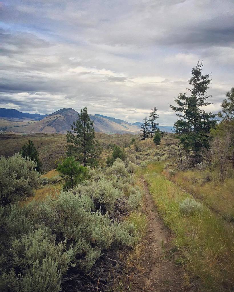 ThingsWeveSeen's tweet image. Another shot of our day home through #kennacartwrightpark #explorekamloops #neverstopexplo… ift.tt/29kEZPu
