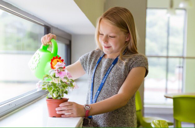 WhiteRoseEd's tweet photo. We are pleased to welcome Miss Rose to our team #MathsEveryoneCan 
Check out her 1st video https://t.co/qidJuxCT5D https://t.co/f6LVm6veI3