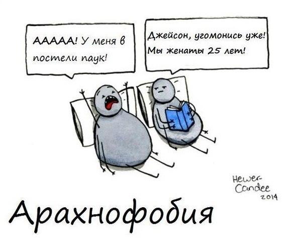 А - #арахнофобия