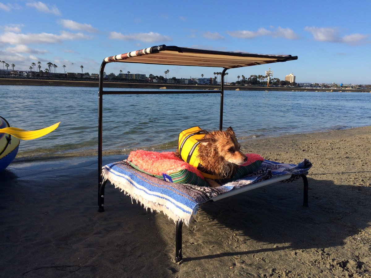 ArtistEsmeralda's tweet photo. Sunshine Relaxing #SanDiegoPets #DogBeach #OceanBeach #Sunshine #Dog #PetCot #Bed #CoolDog #FunDog https://t.co/SvIP3Rb5aI