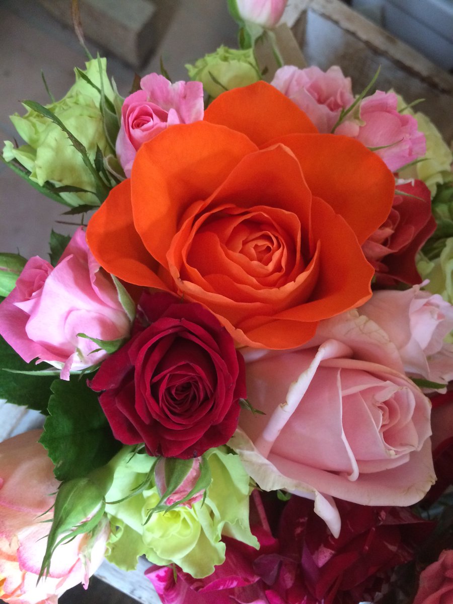 井上ばら園 Inouebaraen Twitter