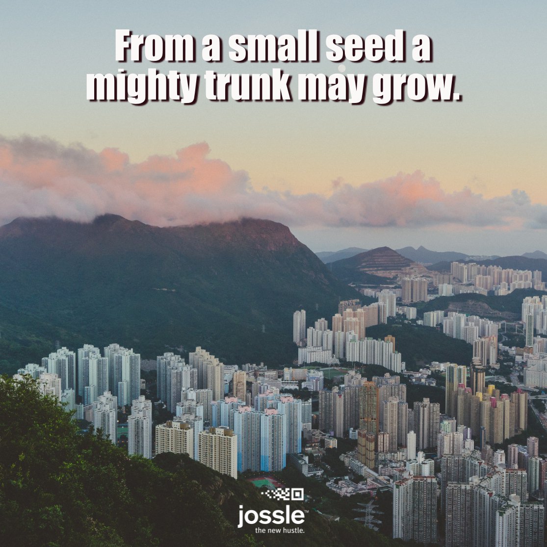 From a small seed a mighty trunk may #grow. 
jossle.org  #quote
