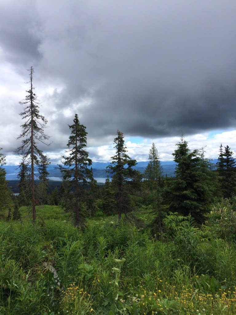 sydneygoward's tweet photo. View over Spanish and Quesnel Lakes today working on #Silviculture projects and #TreePlanting ! #NoBadDays #Learn https://t.co/oIQIGu5dct