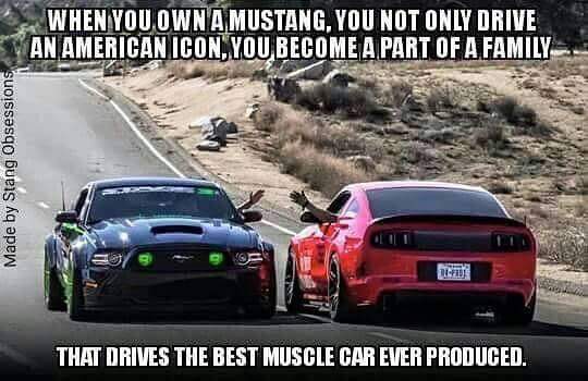Mustang_Klaus's tweet photo. One world. One passion. The #Mustang united worldwide @FPRacingSchool @AMFMag @SherwoodFord @Ford_CH @RobHerrod https://t.co/sG8PAOzfNC