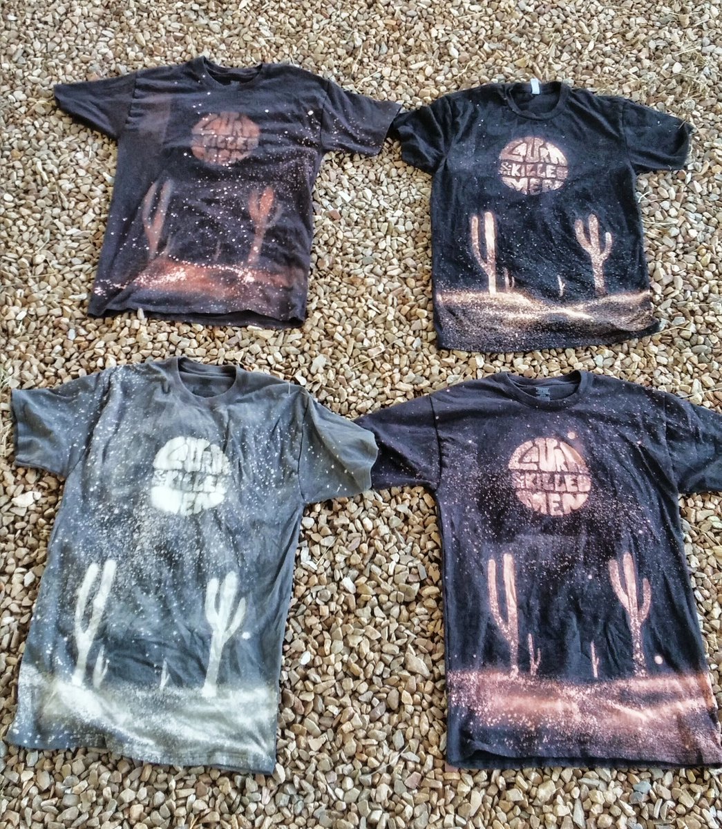 Wanna help us get to Alaska? Buy a shirt!