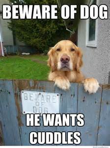 nirroventures's tweet photo. Beware of dog! https://t.co/AbSnZrA5Gn