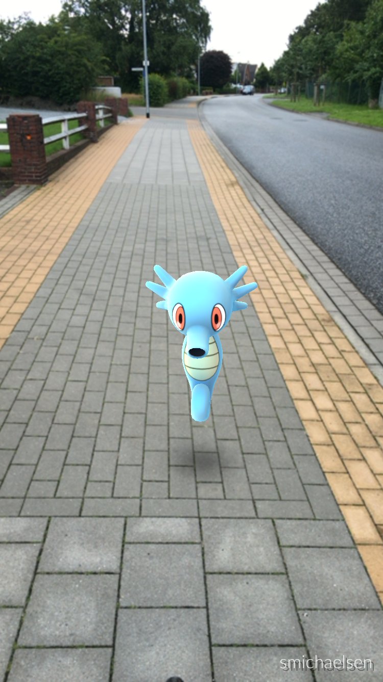 Seeper auf meinem Arbeitsweg