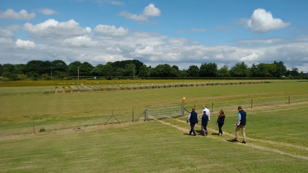 NickersonBen's tweet photo. Brilliant day yesterday with the Nickerson Team catching up with our Wheat Breeders at Woolpit! #THESeedsMen https://t.co/b3XzFlXmS0