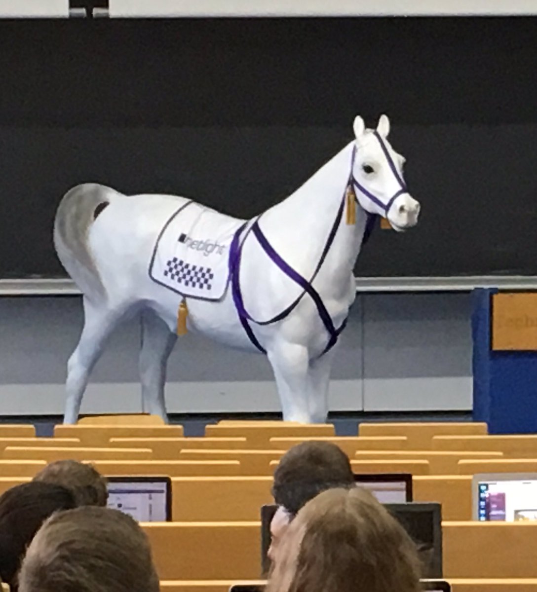 laramariereimer's tweet image. Say hi to Guenther the #netlight horse. Guenther is about to give a talk at POM. #tum
