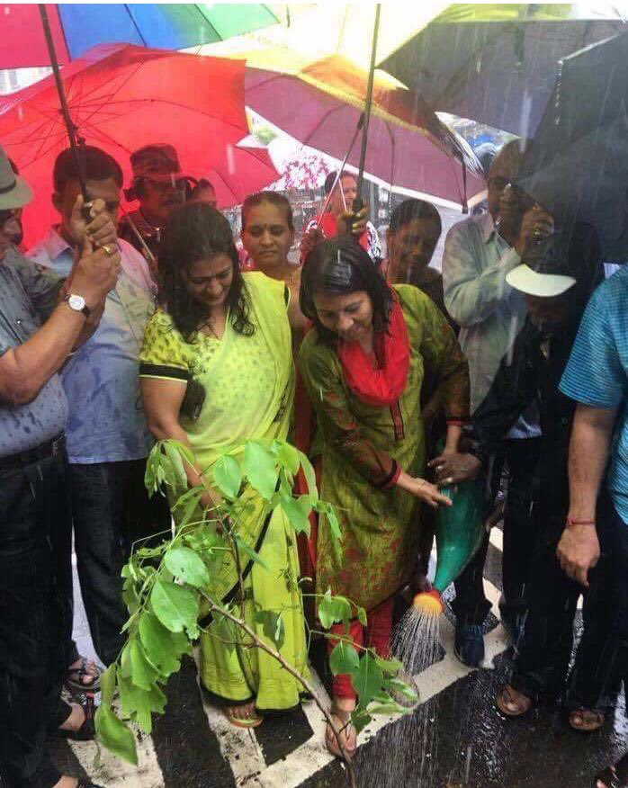 RealHistoryPic's tweet photo. Mayor of Vasai-Virar collecting water from plants in order to cause heavy rain fall in the Area.(2016) https://t.co/wON4jKmxt4