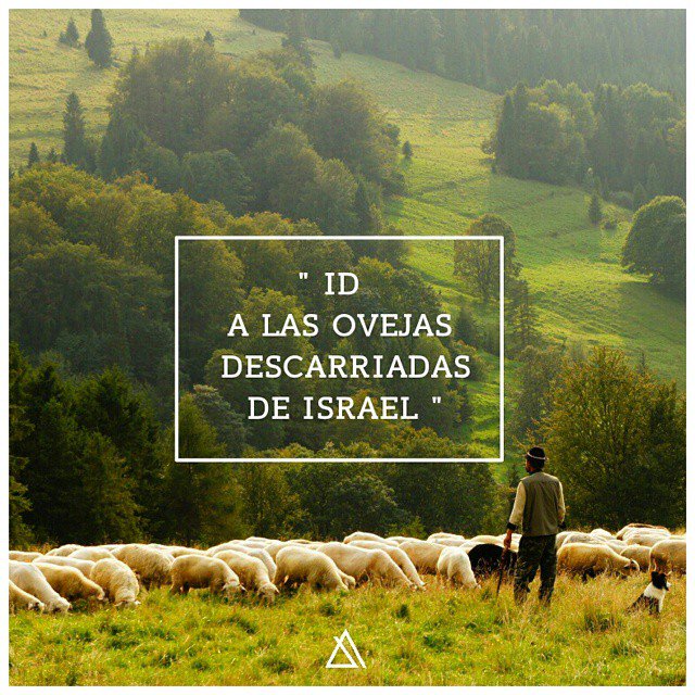n_dominicas's tweet photo. #Atrévete... a #ponerte en #camino
https://t.co/1fC3F39jJ5
#Evangelio #Palabraes #dominicastoro #dominicos https://t.co/RdVpE5zZch