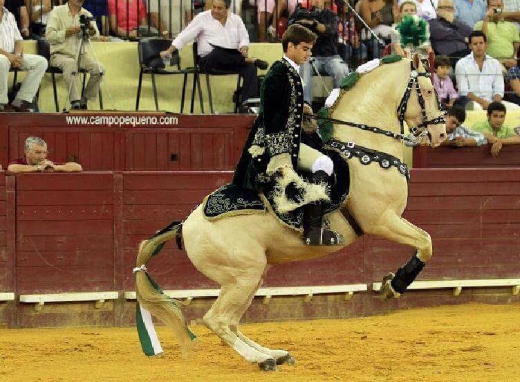 Francisco palha (@fpalha87) on Twitter photo 