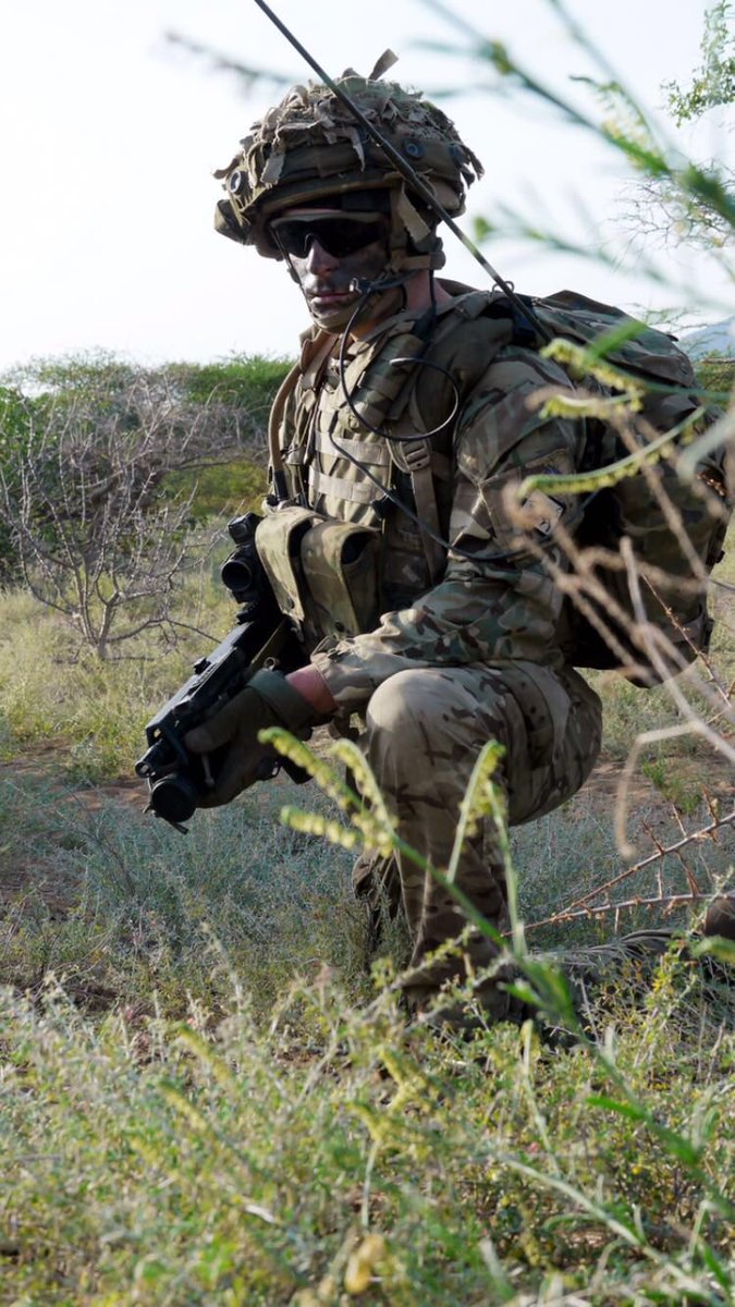 The Grenadier Guards tweet media