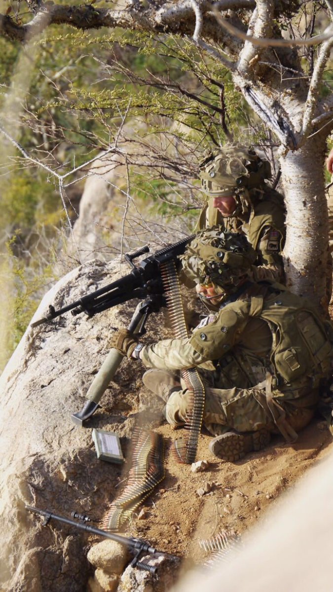 The Grenadier Guards tweet media