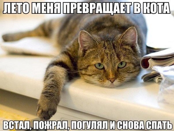 Феофан Булкин (@feo_bulkin) on Twitter photo 