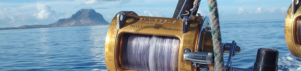 Tout savoir sur la #pêche au gros à l'île Maurice ! #biggame <a href="/mon_ilemaurice/">Mon Île Maurice</a> <a href="/SeeMauritius/">Mauritius Tourism</a> mauritius-travel.com/informations-i…