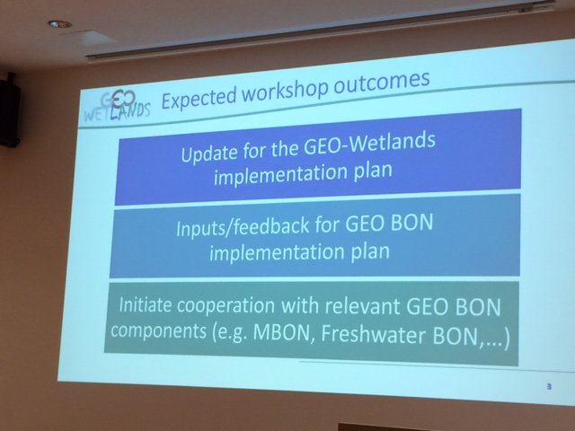 The wetland/GWOS workshop started at the  #GEOBONconf2016, leaded by the <a href="/SWOS_H2020/">SWOS</a> team, with challanging targets