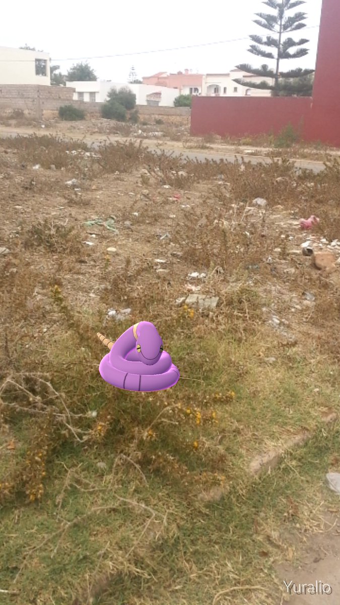Yuralio's tweet photo. Wesh les gars Pokemon Go c'est trop réaliste j'ai trouvé un Abo dans son environnement à Dar Bouazza #PokemonGoCasa https://t.co/bmAX0MXSHv