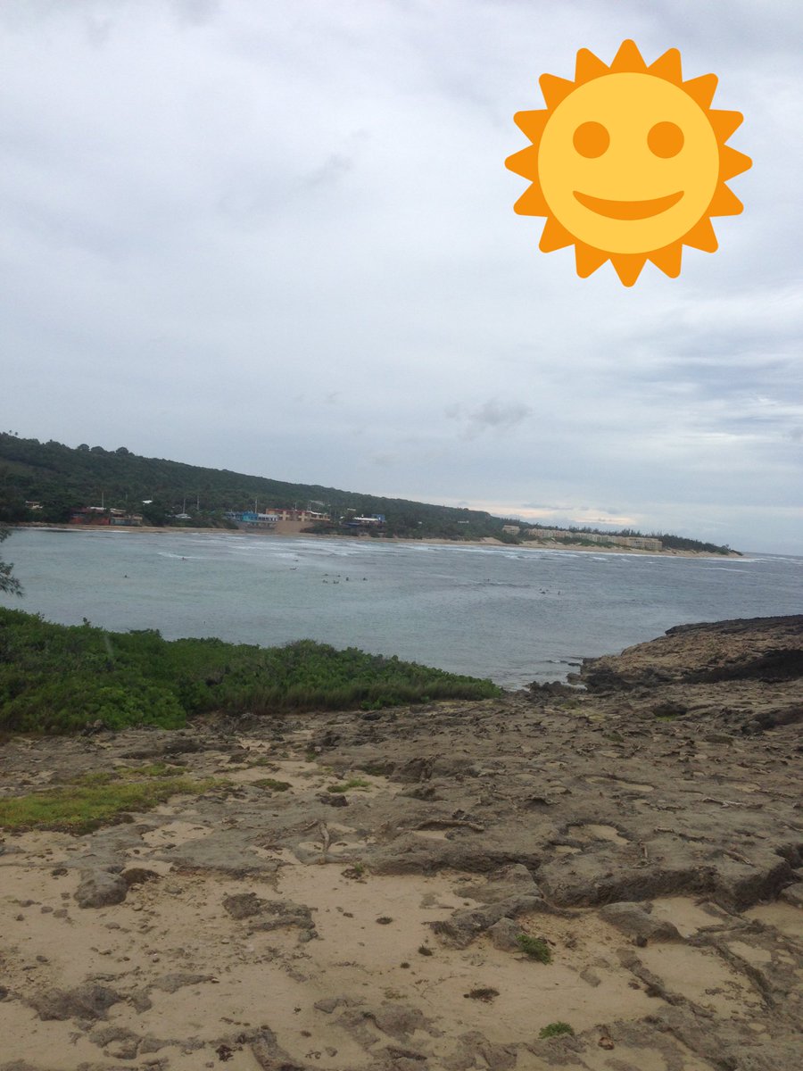 KrystiArroyo's tweet photo. Mi jobos Isabela... https://t.co/pfiqOPv6Fq