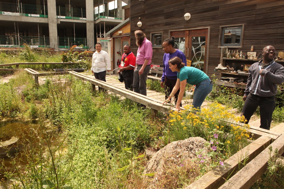 Redstart Arts tweet media