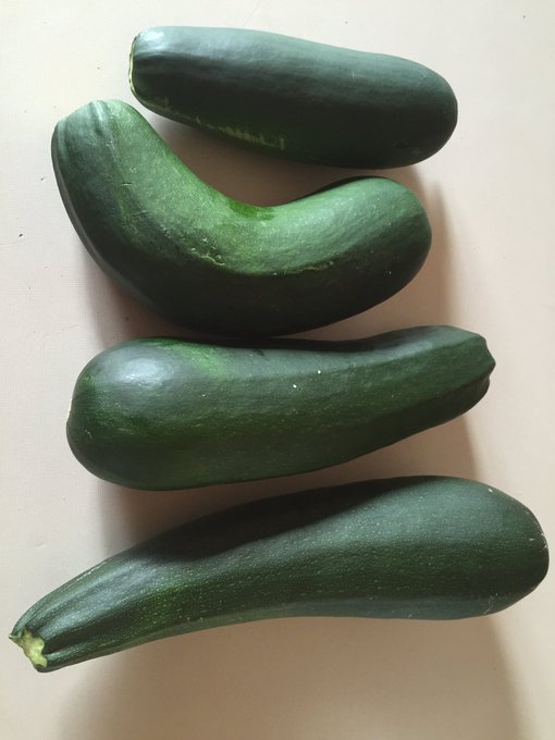 From my garden https://t.co/SjHU5mDE0J