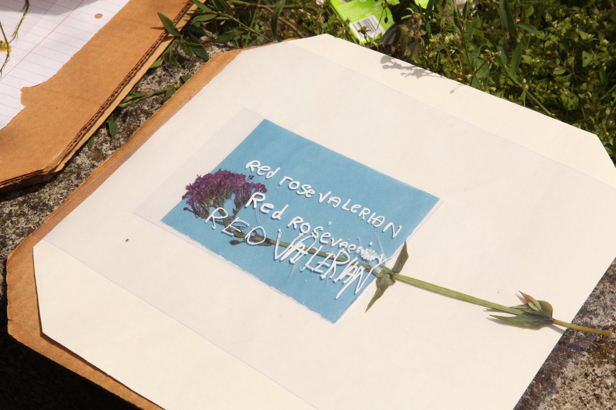 Redstart Arts tweet media