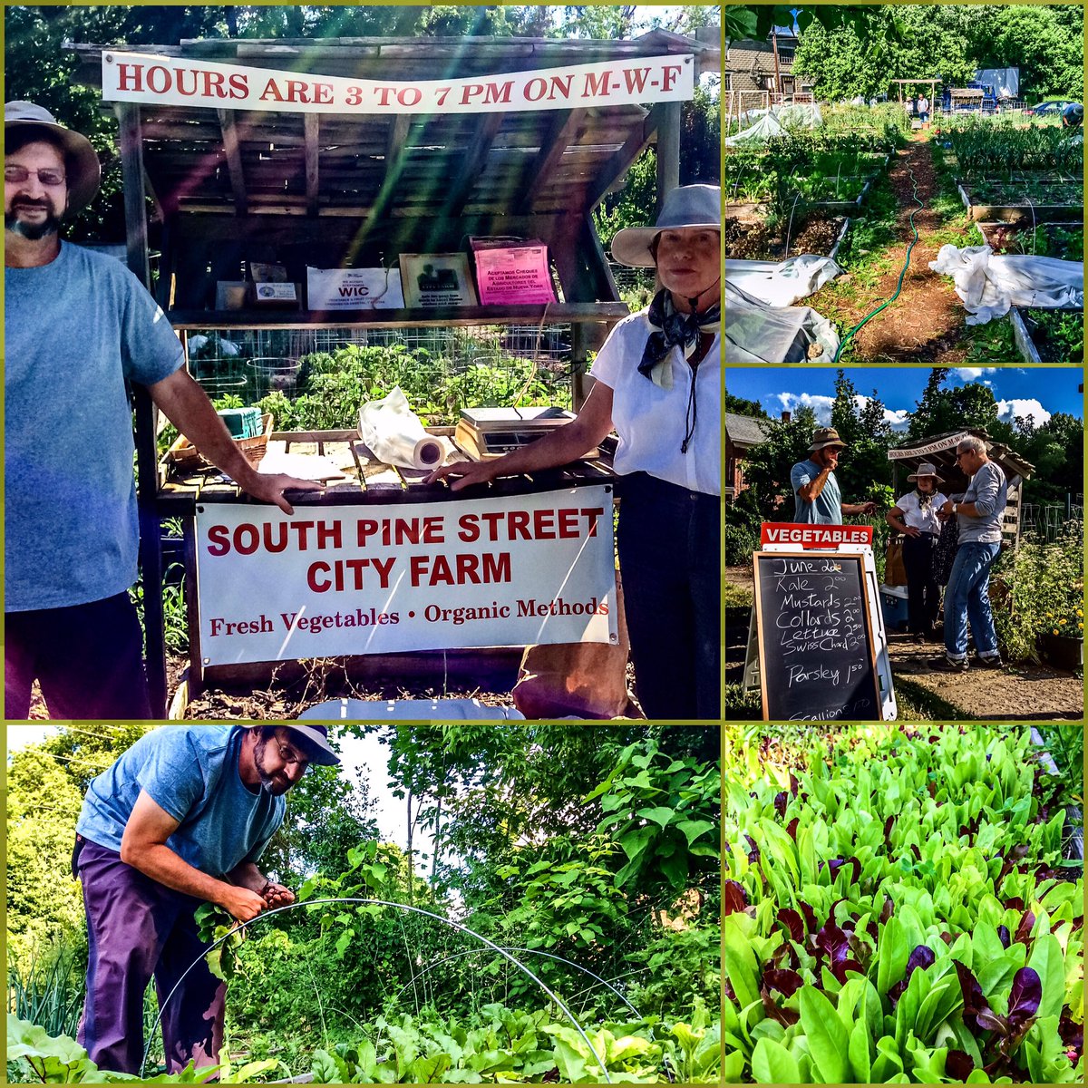 HudsonValleyCurrent tweet media