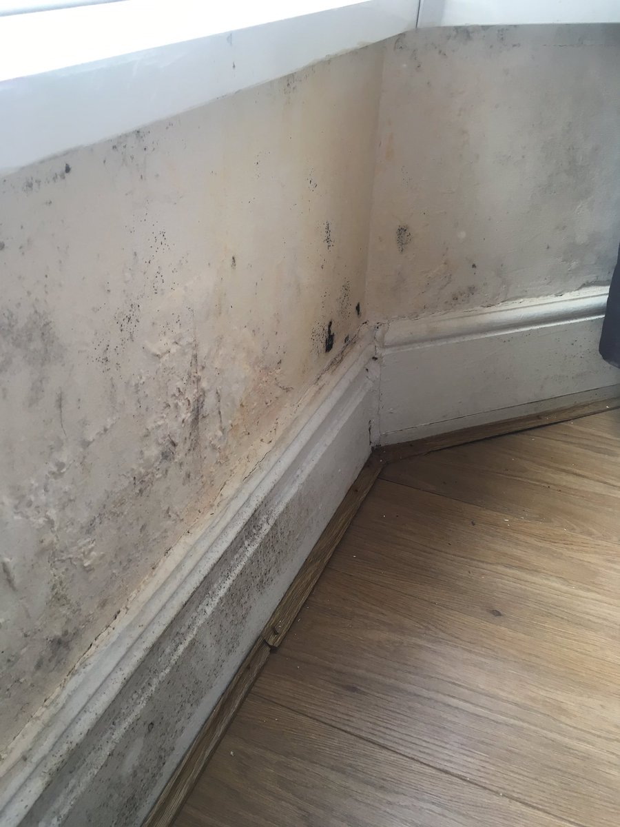 fmegan94's tweet photo. @KingstonCardiff @WalesOnline when you rent your first professional property and it comes like this #disgusting https://t.co/cGqizENcPc