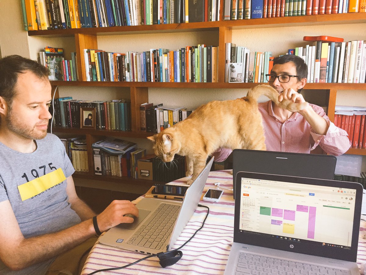 SearaMonica's tweet photo. Animales en el lugar de trabajo? Este viene en el pack  @xavimtnez @alonsosoto @BeTICconsult @empsaludables @myo15 https://t.co/JD3wBiS1EK