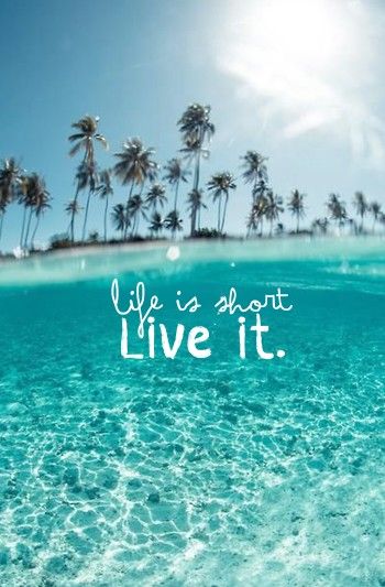 lauratorrano's tweet photo. ⬇⬇⬇⬇⬇⬇🔊❗ https://t.co/i0hJ97EiZE