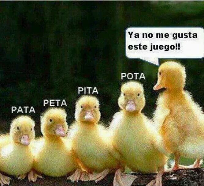 torresatena's tweet photo. #MeSuperEnamoroSi  NO me resulta seguidora de maduro y 
Bien... https://t.co/Uv7TcOsumh