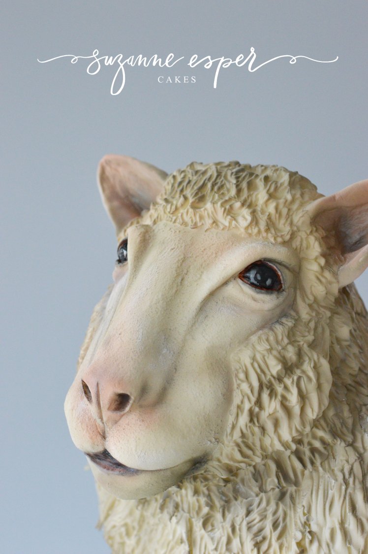 SuzanneECakes's tweet photo. Me and my cake buddy made a 3D sculpted cake to celebrate 20 years of Dolly the sheep #dolly20 https://t.co/kjXKkMzwTG
