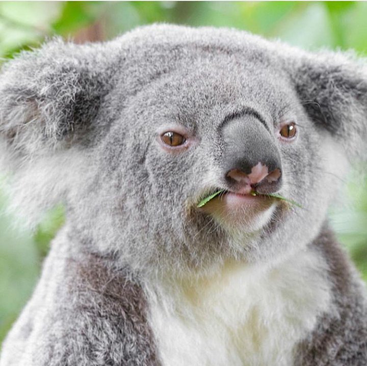 The bullshit that is Oscar's sentencing... mxm