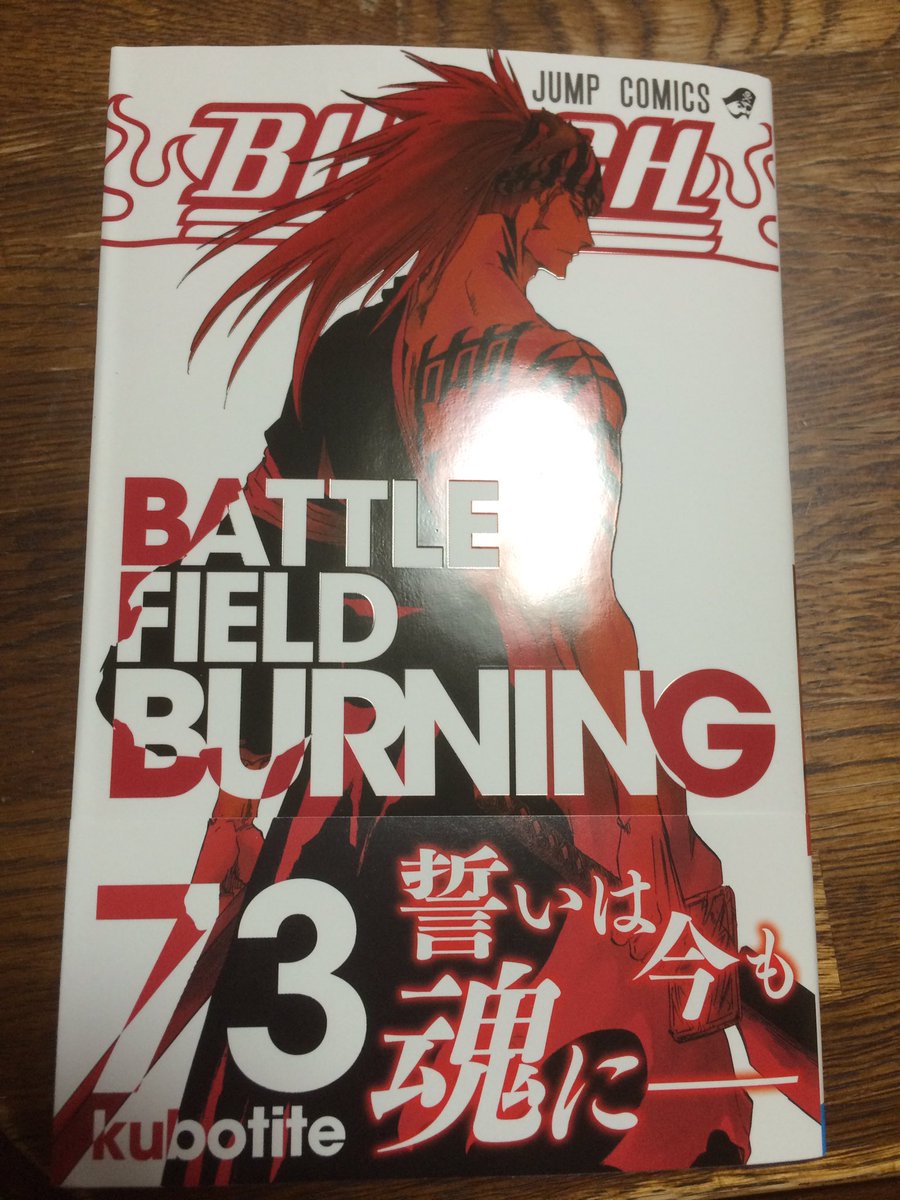 Bleach73巻