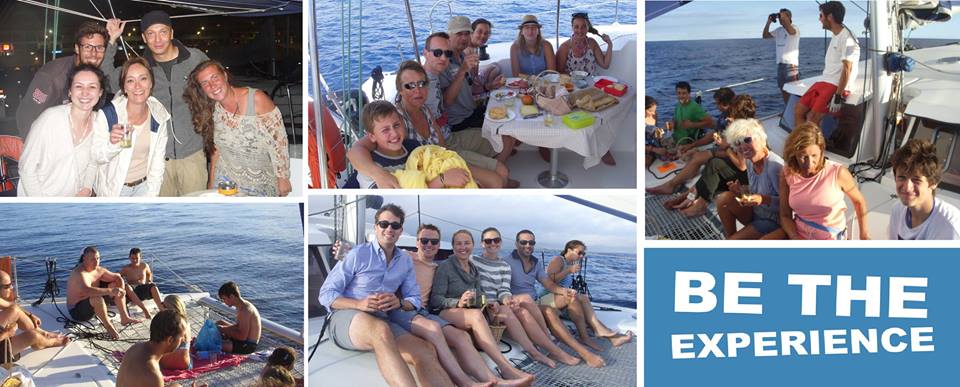 LsCatamarans's tweet photo. Find your right #Sailing trip among our services in #Azores #VipSunset #IsletDiscover #InterIslands #Private. https://t.co/1LFYynzOAr