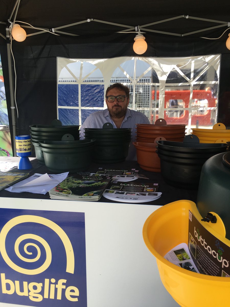 The sun is shining <a href="/CityPointEC2/">Citypoint</a> so why not come over and see us <a href="/Buzz_dont_tweet/">Buglife</a> #buglife #environmentalwarenessday