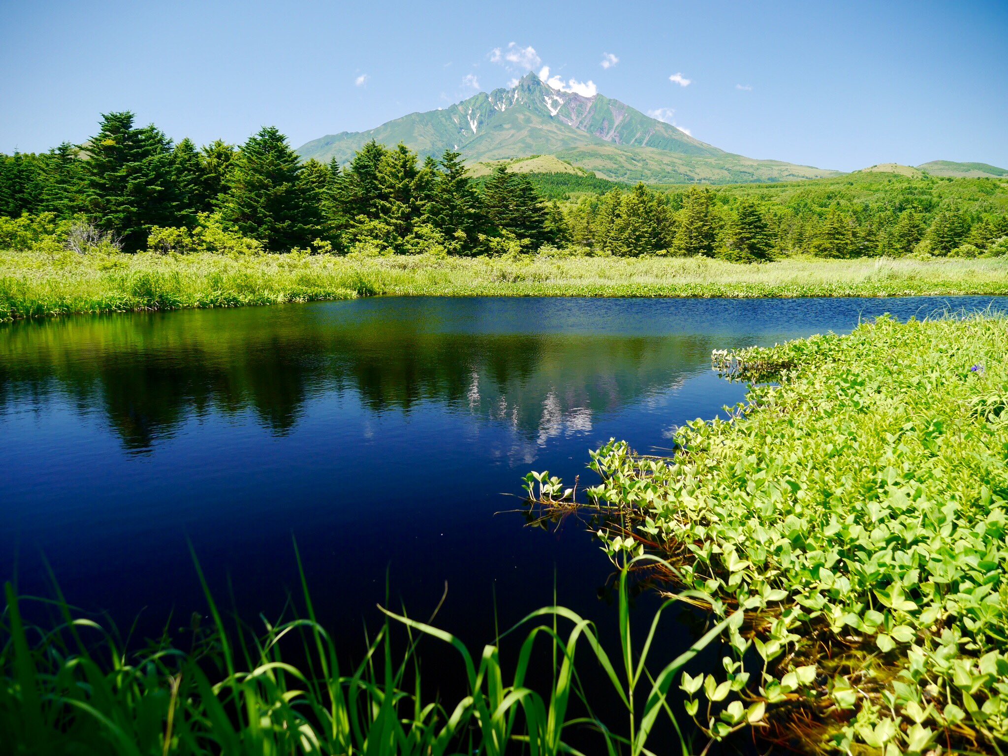 ゆかり 南浜湿原 高層湿原と低層湿原が混在している とても珍しい湿原で 利尻富士町の文化財にも指定されています 日本ではここだけのようです T Co Trjijhy4hq Twitter