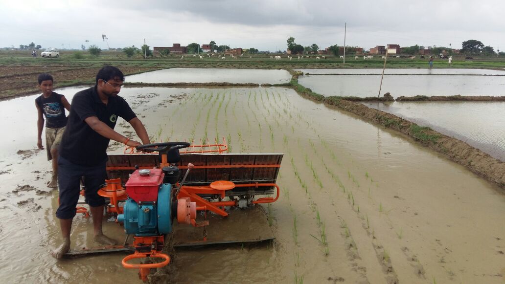 AgrevolutionGr's tweet photo. Machine Paddy Transplantation (MPT) started in Basahi, Buxar. https://t.co/YumXojbNZr