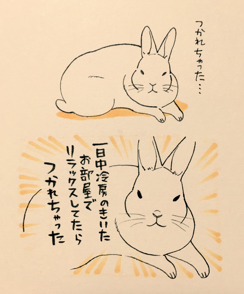 うさぎ様