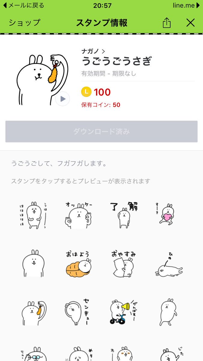 灰うさぎ 自分ツッコミくま