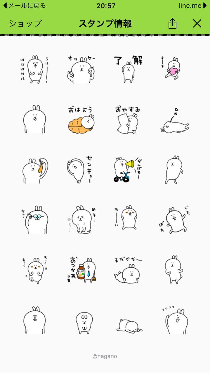 自分ツッコミくま 灰うさぎ 自分ツッコミくま 灰うさぎ