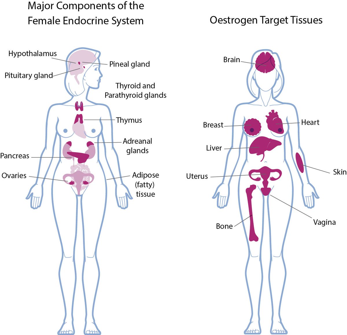 MovingonABC's tweet image. BOOK OUT NOW on Amazon Moving on ABC After Breast Cancer
afterbreastcancer.com

amazon.co.uk/Moving-ABC-Aft…