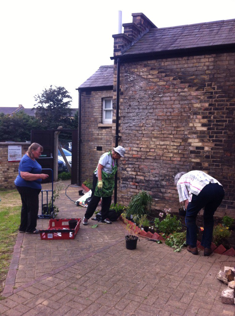 Caught in action... @VivacityVols doing a fantastic job of planting up #peterboroughmuseum #garden @Vivacity_Museum