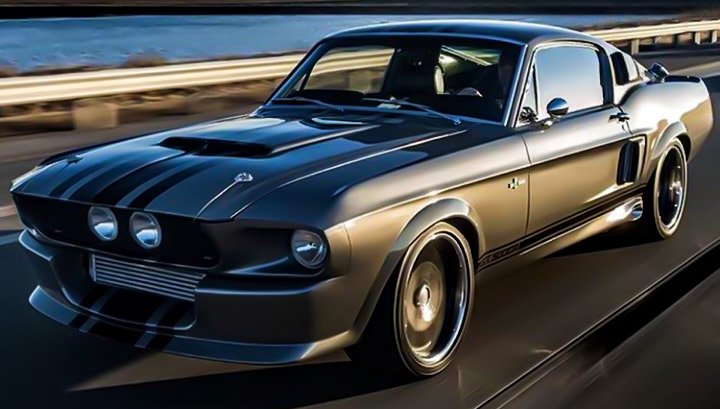 MustangGirlS550 tweet picture