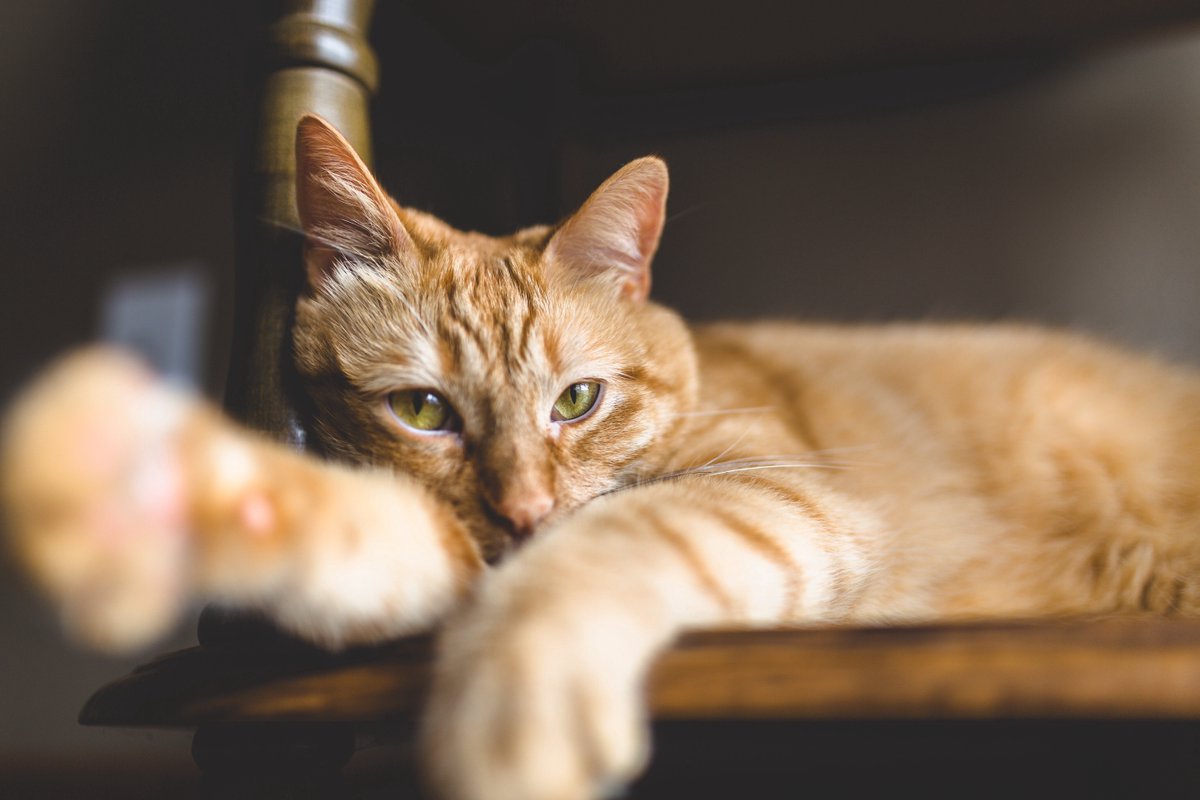 KyleStoutenberg's tweet image. He won't admit it, but he loves being in front of the camera.