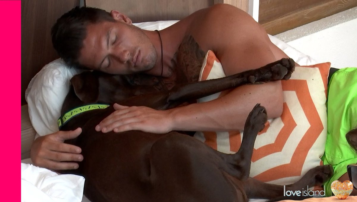 LoveIsland's tweet photo. When you realise that true happiness is the love of a good pet. 🐕

#LoveIsland: Tonight, 9pm on @ITV2. ❤️ https://t.co/ZsTjG4a9u3
