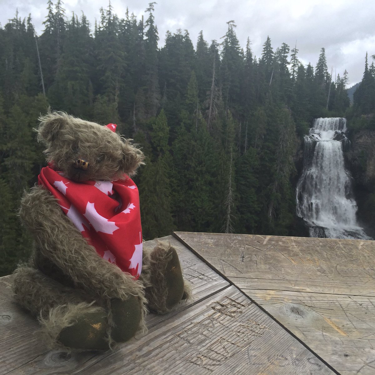 1uglybear's tweet photo. #Uglybear out in #whistler #olympicpark #canada #nofilter 🇨🇦🐻 
#waterfall #travel #bear https://t.co/nDeh8Lelk8