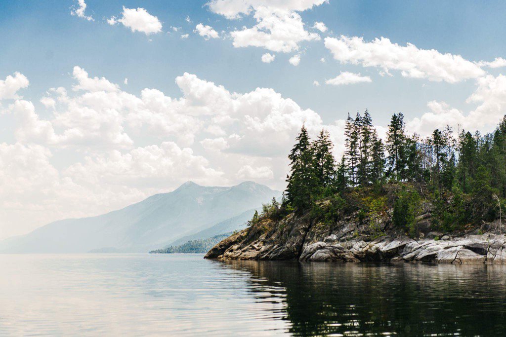 Dani Louise Photography tweet media